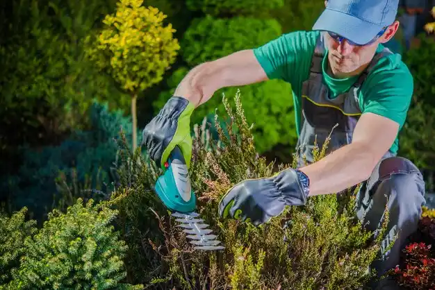 landscaping services East Hampton North
